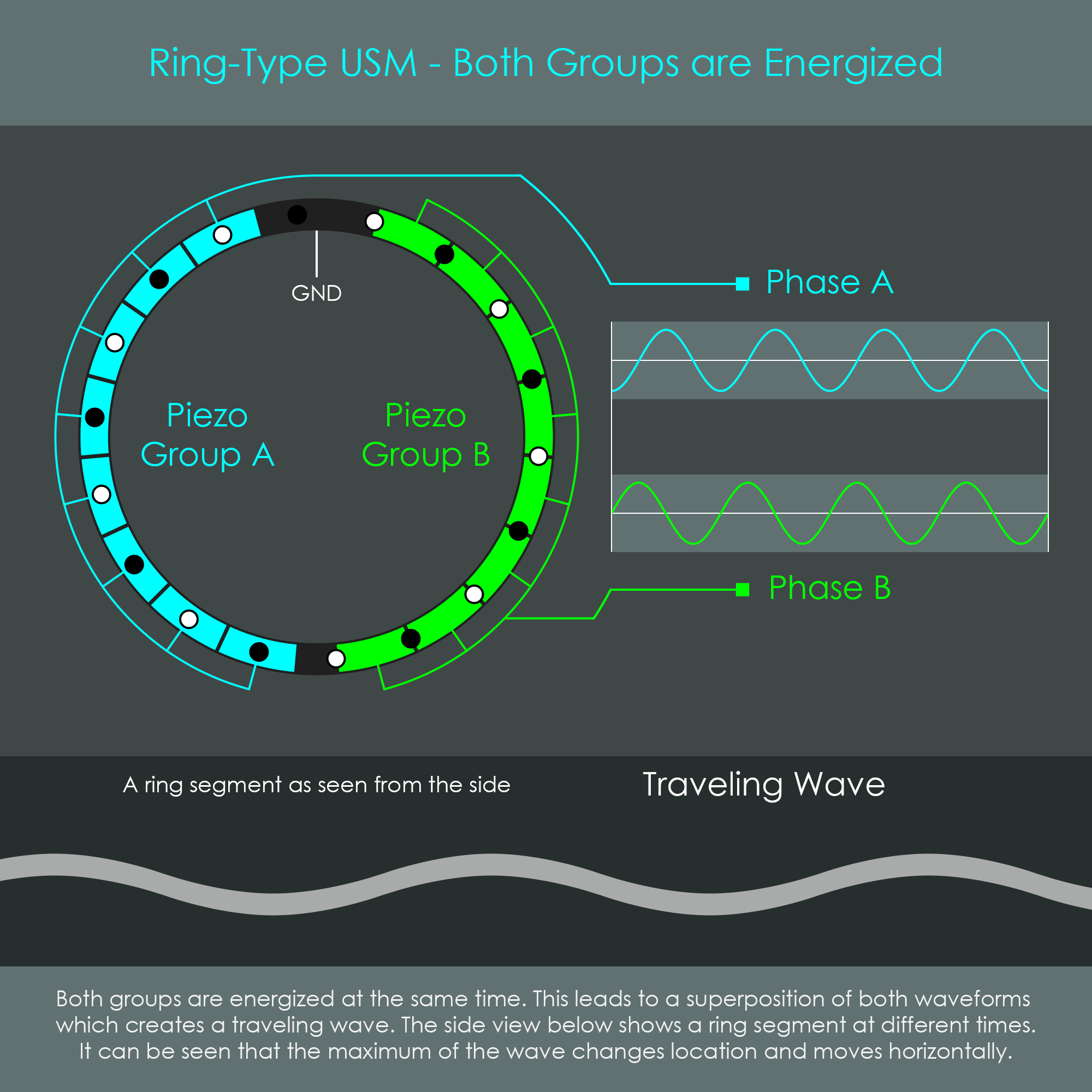 Animated diagram of a ring-type ultrasonic motor